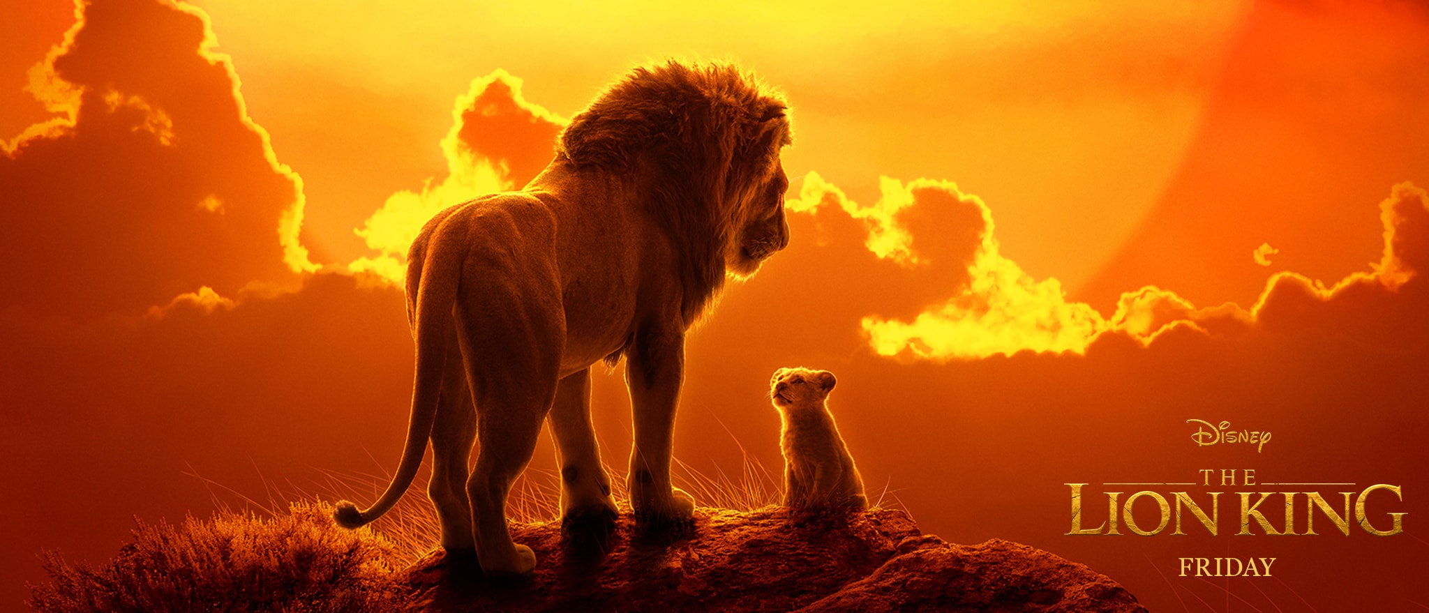 The Lion King (2019) HD Print Torrent Download Links Leaked