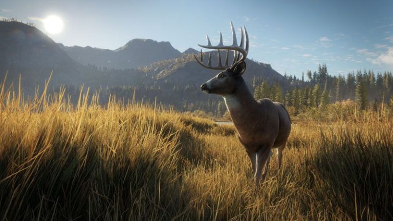 the hunter call of the wild latest update ps4