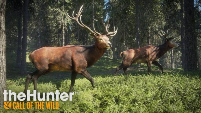 The Hunter Call Of The Wild update 1.06 PS4