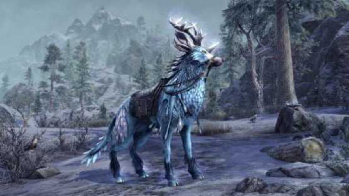 The Elder Scrolls Online Update 9.0.6 Patch Notes