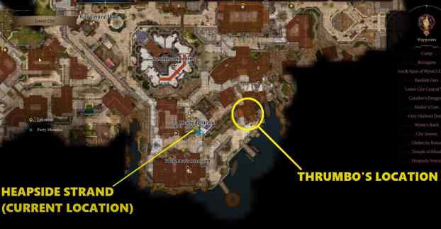 Thrumbo Location BG3 Guide