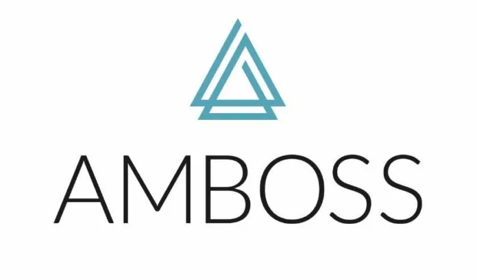AMBOSS Error Code 500: How to Fix