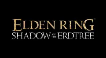 Elden Ring Update 1.015 Patch Notes (Version 1.015.000)