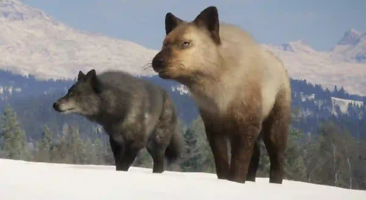 TheHunter COTW version 1.97